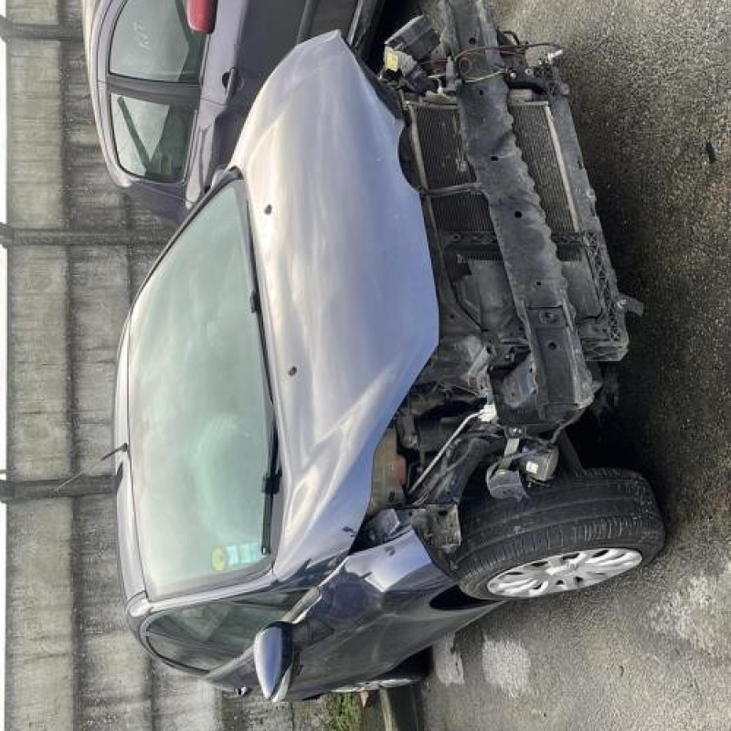 Porte arriere gauche FORD FIESTA 6 Photo n°8