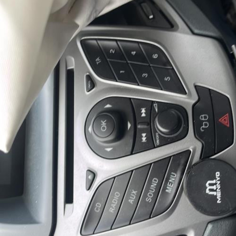 Porte arriere gauche FORD FIESTA 6 Photo n°13