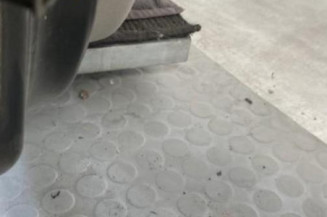 Porte avant droit RENAULT TWINGO 2