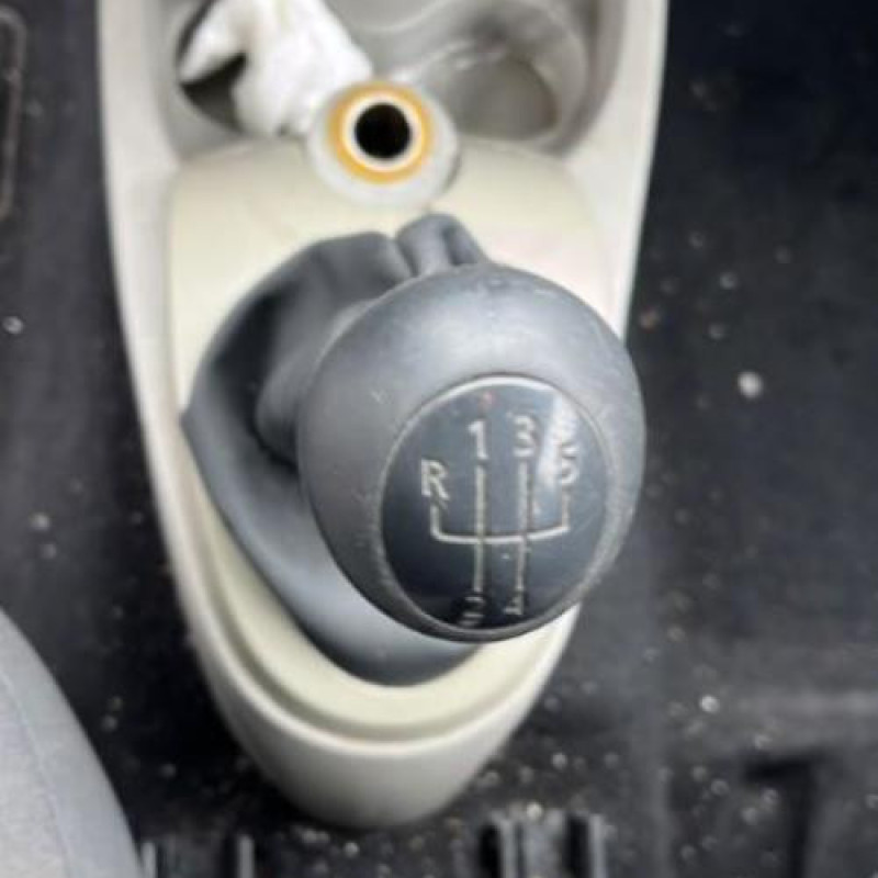 Porte avant droit RENAULT TWINGO 2 Photo n°18