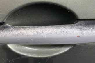 Porte avant gauche RENAULT MODUS