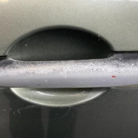 Porte avant gauche RENAULT MODUS