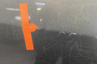 Porte avant gauche RENAULT MODUS
