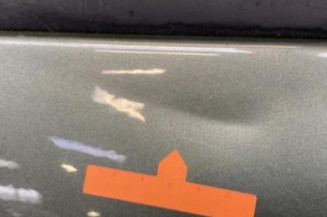 Porte avant gauche RENAULT MODUS