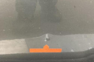 Porte avant gauche RENAULT MODUS