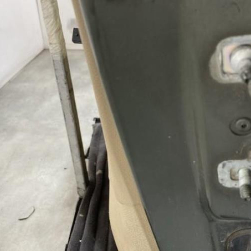 Porte avant gauche RENAULT MODUS Photo n°9