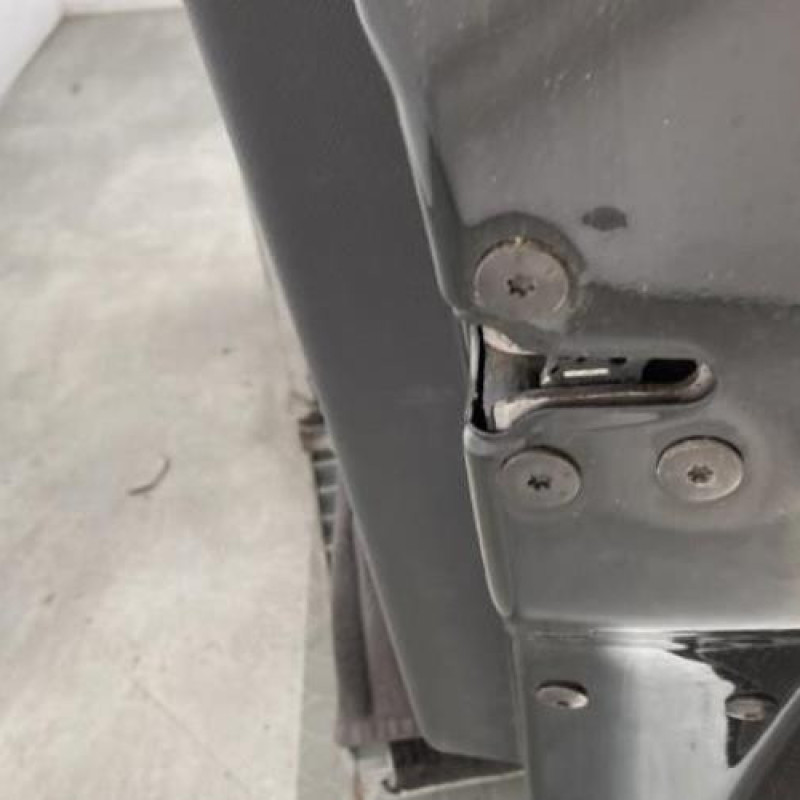 Porte avant droit RENAULT MEGANE 3 Photo n°3