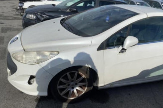 Custode arriere gauche PEUGEOT 308 1