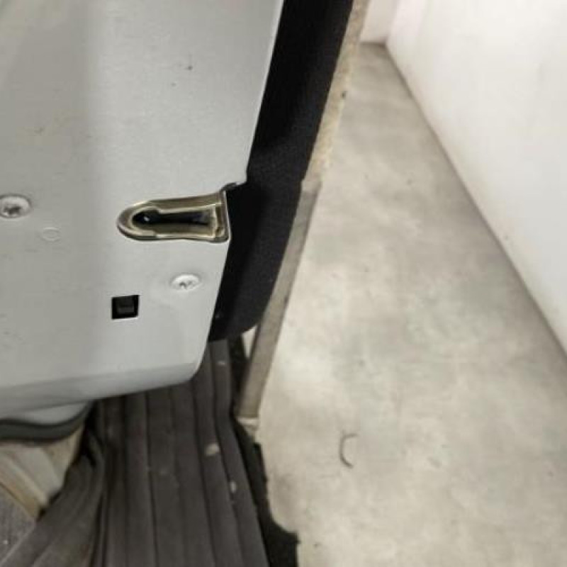 Porte arriere gauche MERCEDES CLASSE A 169 Photo n°3