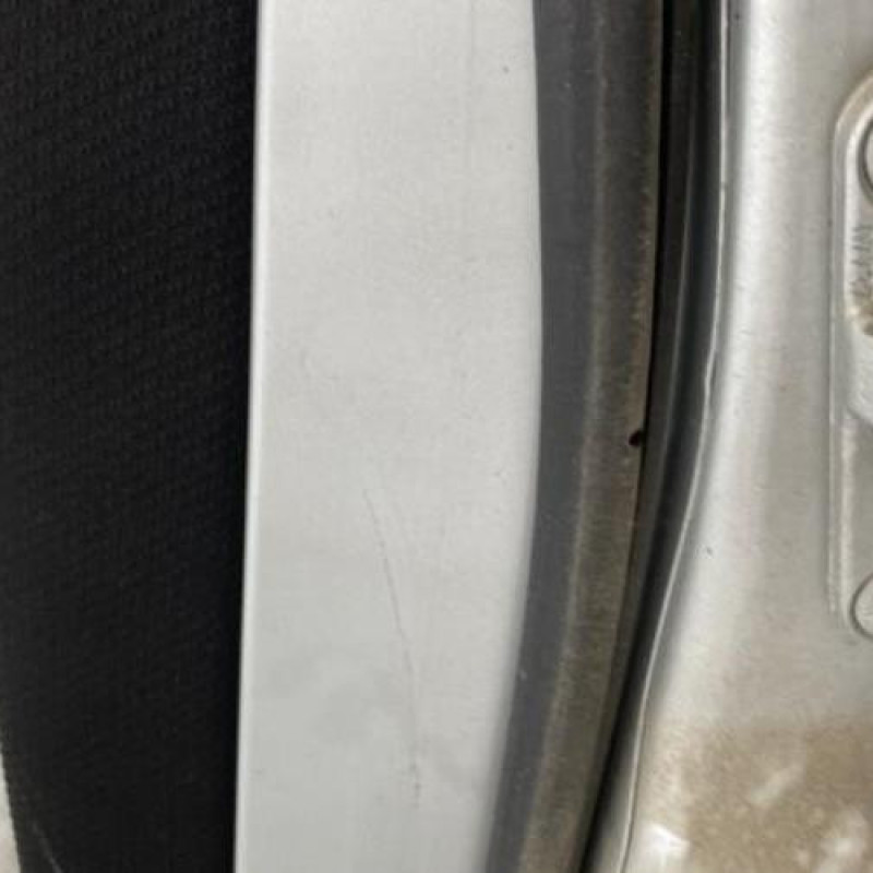 Porte arriere gauche MERCEDES CLASSE A 169 Photo n°4