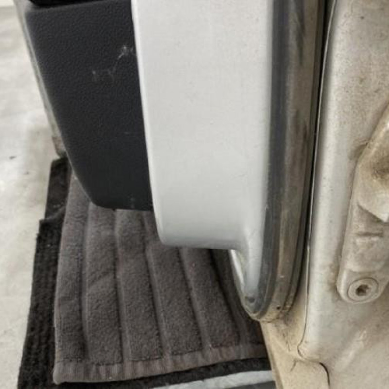 Porte arriere gauche MERCEDES CLASSE A 169 Photo n°5
