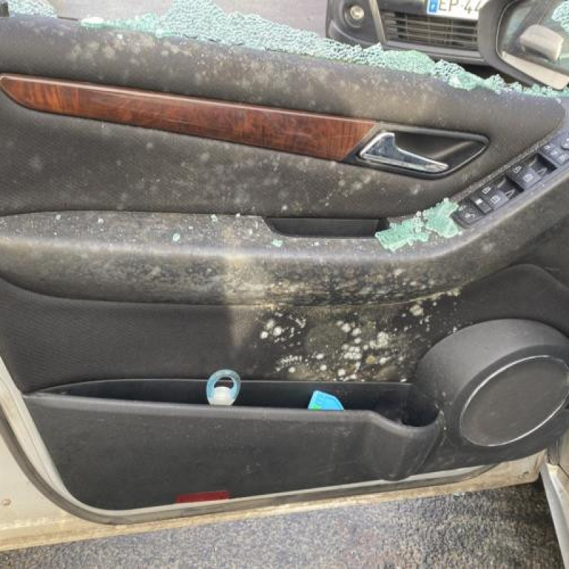 Porte arriere gauche MERCEDES CLASSE A 169 Photo n°18