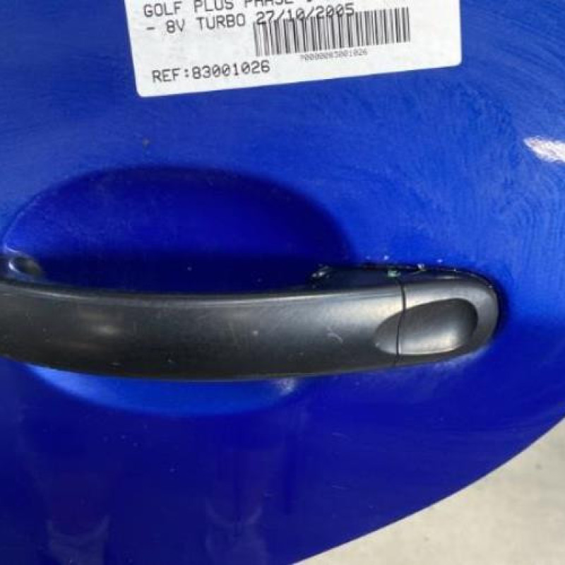 Porte arriere gauche VOLKSWAGEN GOLF PLUS Photo n°2