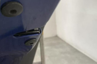 Porte arriere gauche VOLKSWAGEN GOLF PLUS