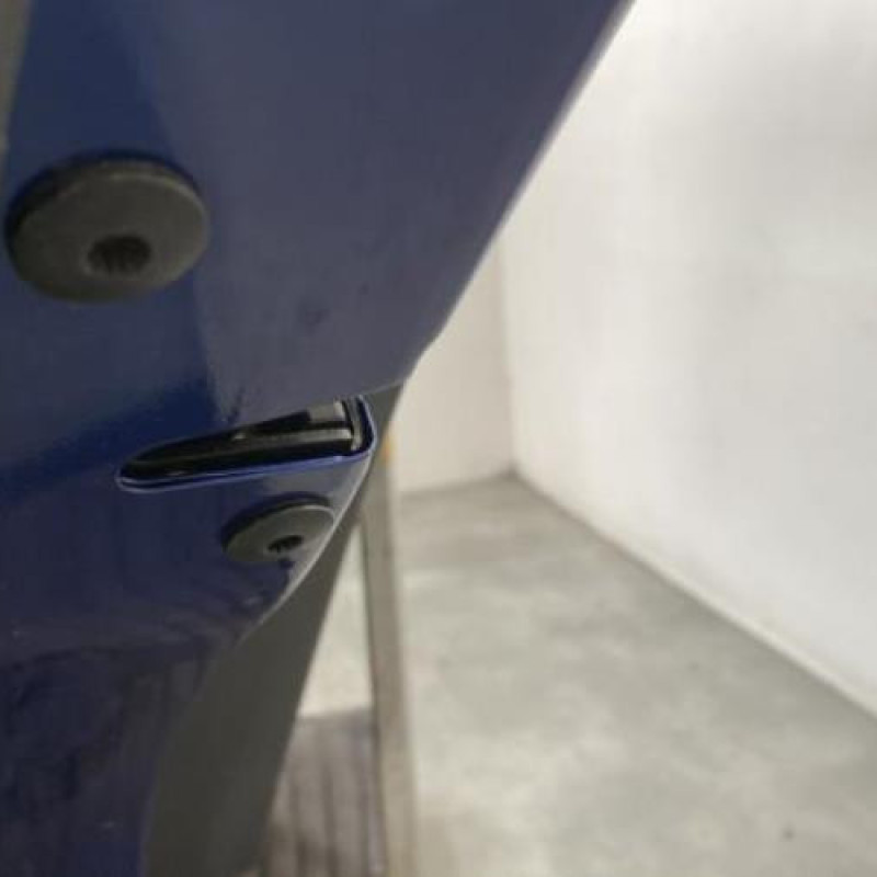 Porte arriere gauche VOLKSWAGEN GOLF PLUS Photo n°4