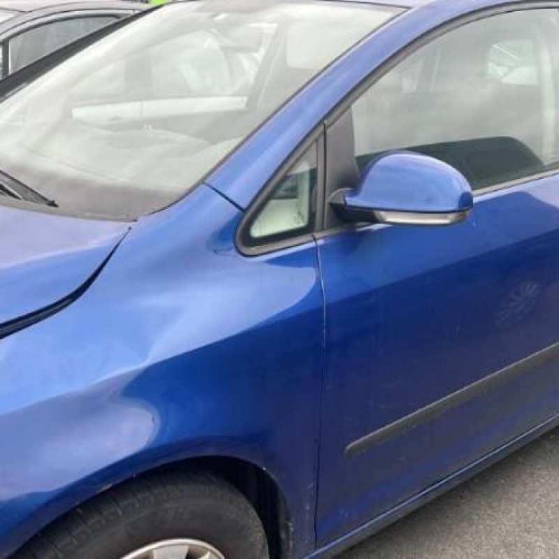Porte arriere gauche VOLKSWAGEN GOLF PLUS Photo n°11