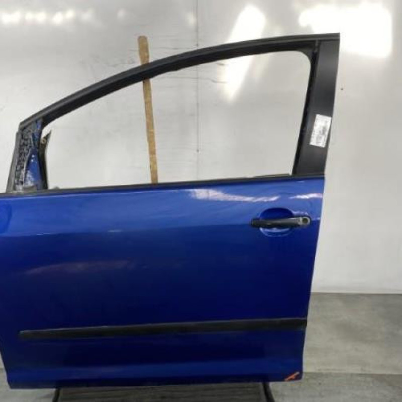 Porte avant gauche VOLKSWAGEN GOLF PLUS Photo n°1