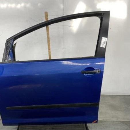 Porte avant gauche VOLKSWAGEN GOLF PLUS Photo n°1