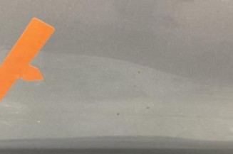 Porte arriere gauche OPEL ZAFIRA B