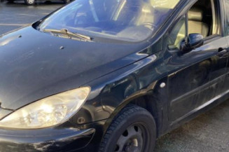 Custode avant gauche (porte) PEUGEOT 307