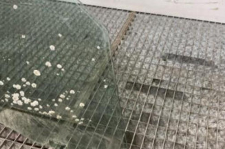 Vitre avant droit VOLKSWAGEN TIGUAN 1