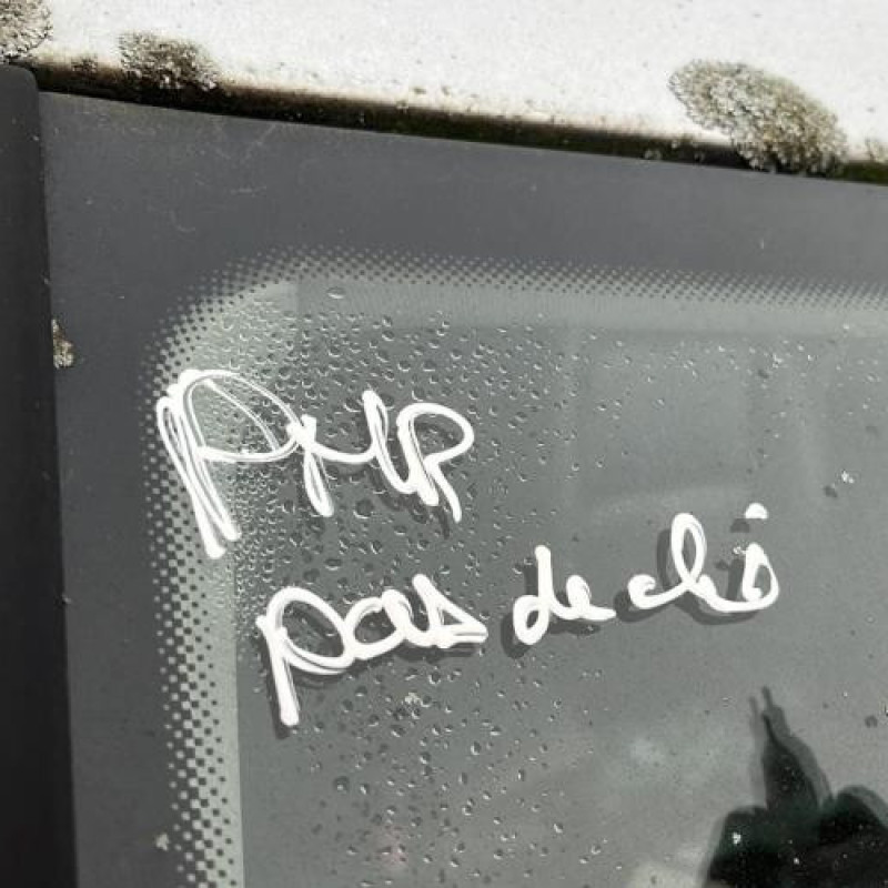Vitre avant droit VOLKSWAGEN TIGUAN 1 Photo n°16
