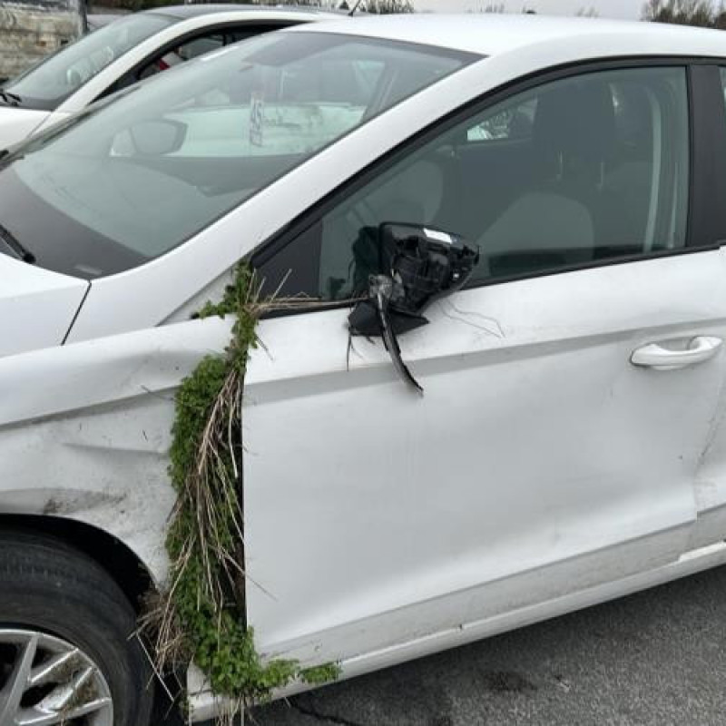Moteur SEAT IBIZA 5 Photo n°16