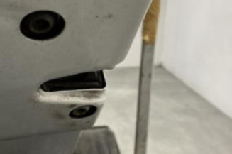 Porte arriere gauche SKODA FABIA 1
