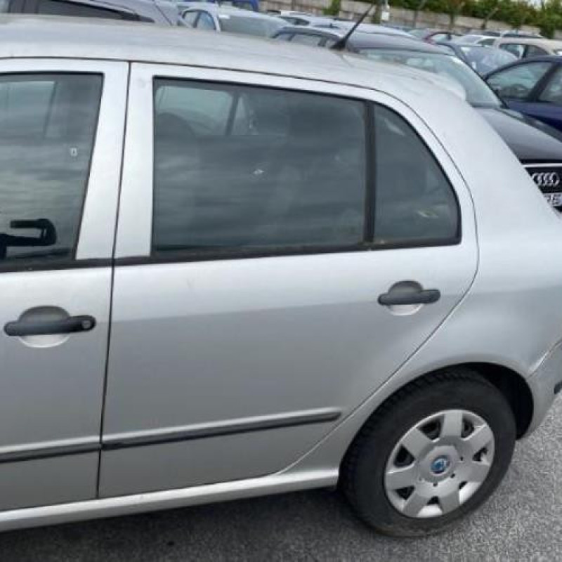 Porte arriere gauche SKODA FABIA 1 Photo n°16