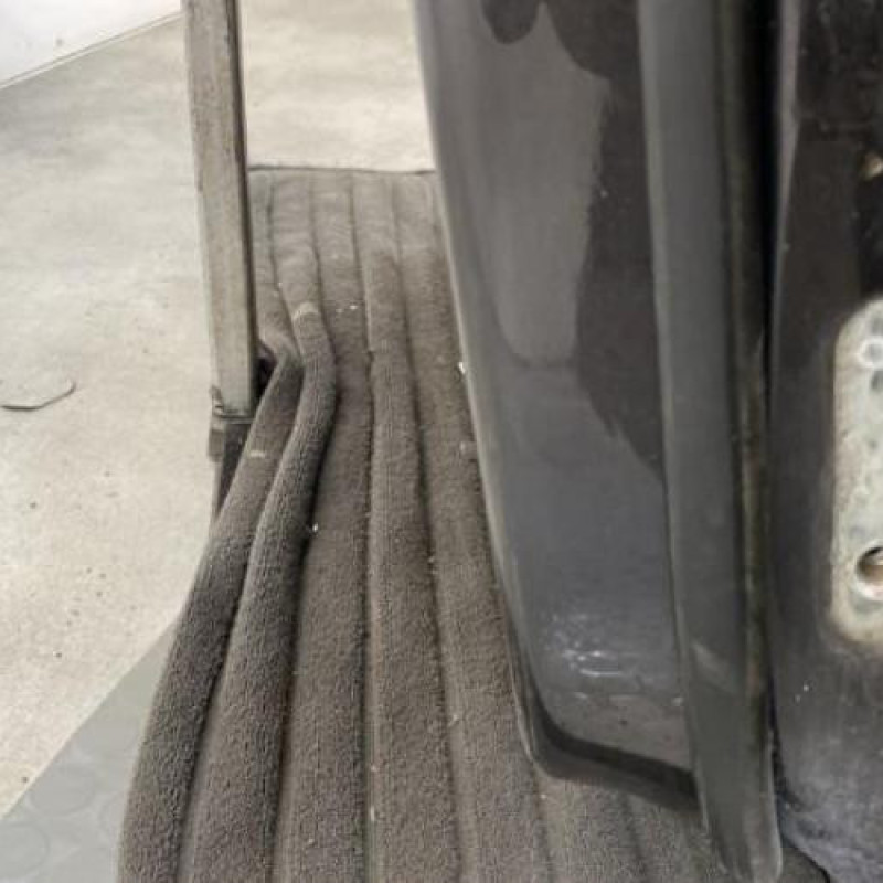 Porte arriere gauche VOLKSWAGEN PASSAT 5 Photo n°3
