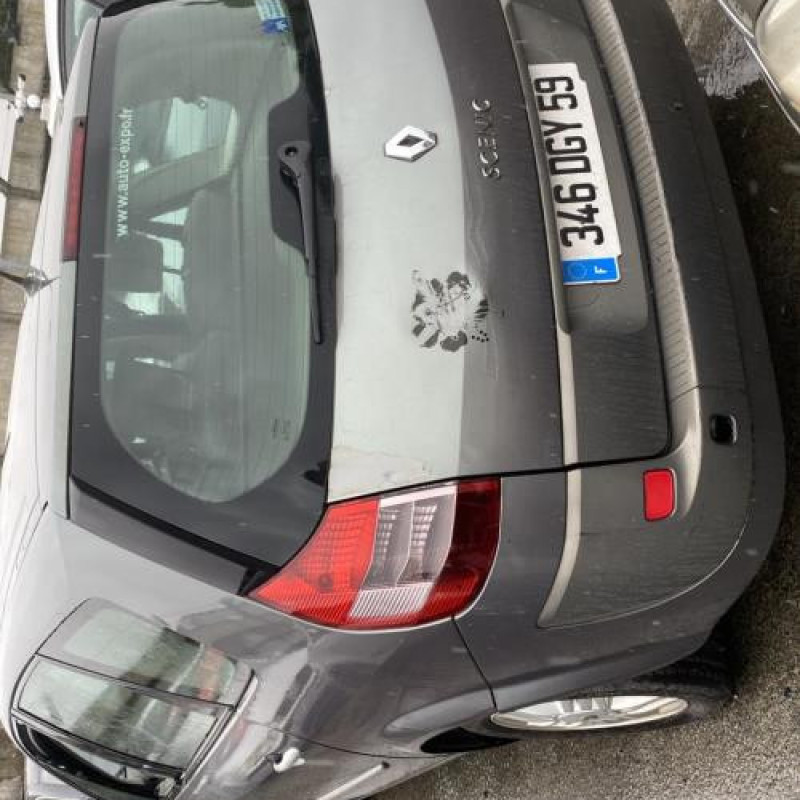 Jante RENAULT GRAND SCENIC 2 Photo n°11
