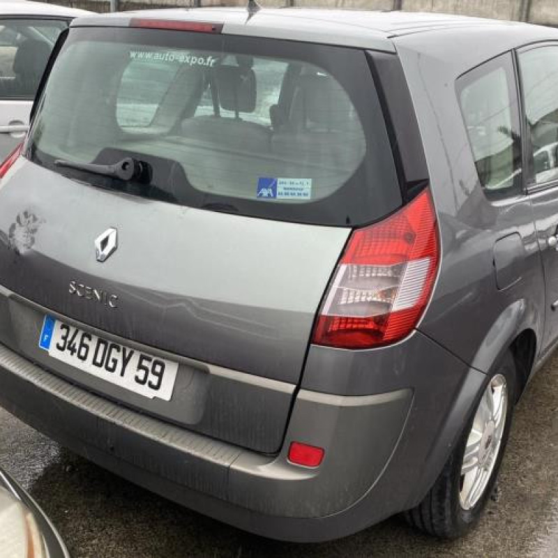 Jante RENAULT GRAND SCENIC 2 Photo n°12