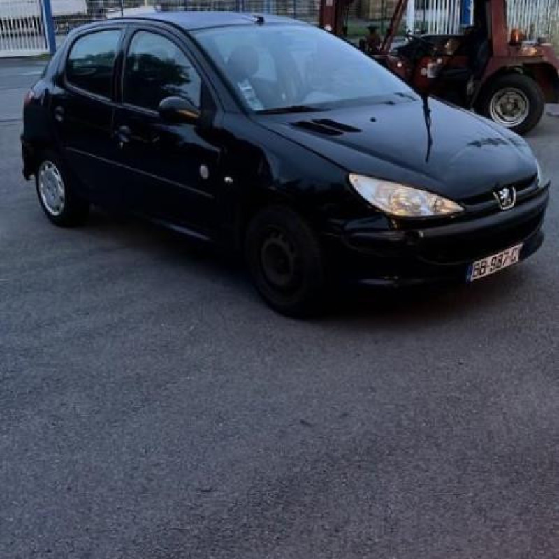 Porte avant droit PEUGEOT 206 Photo n°9