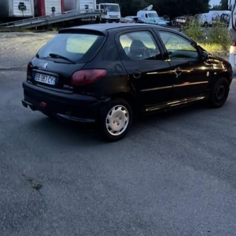 Porte avant droit PEUGEOT 206 Photo n°10