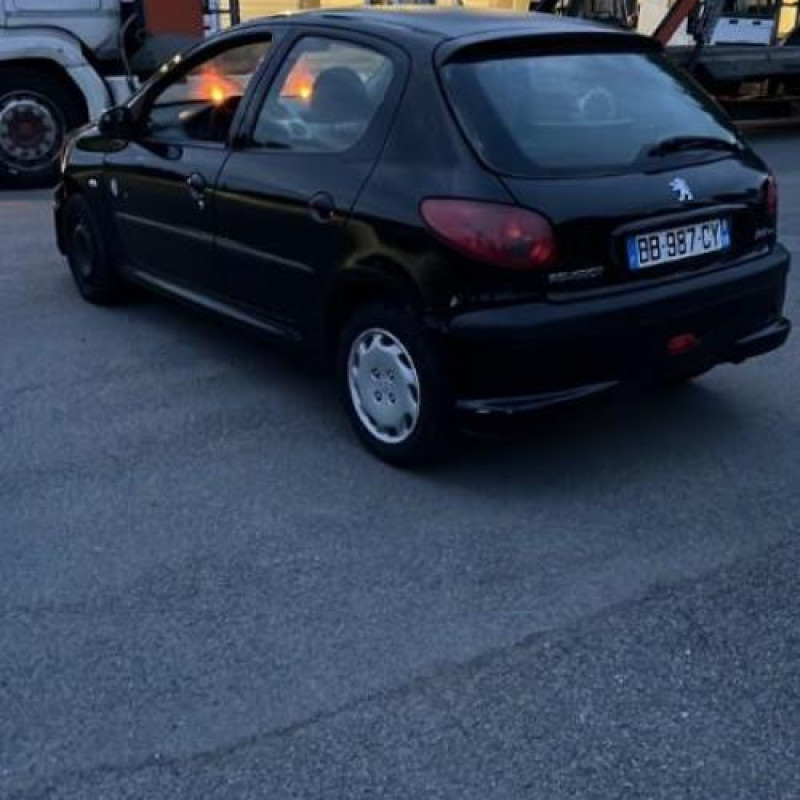 Porte avant droit PEUGEOT 206 Photo n°11