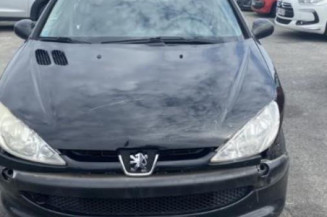 Porte avant droit PEUGEOT 206