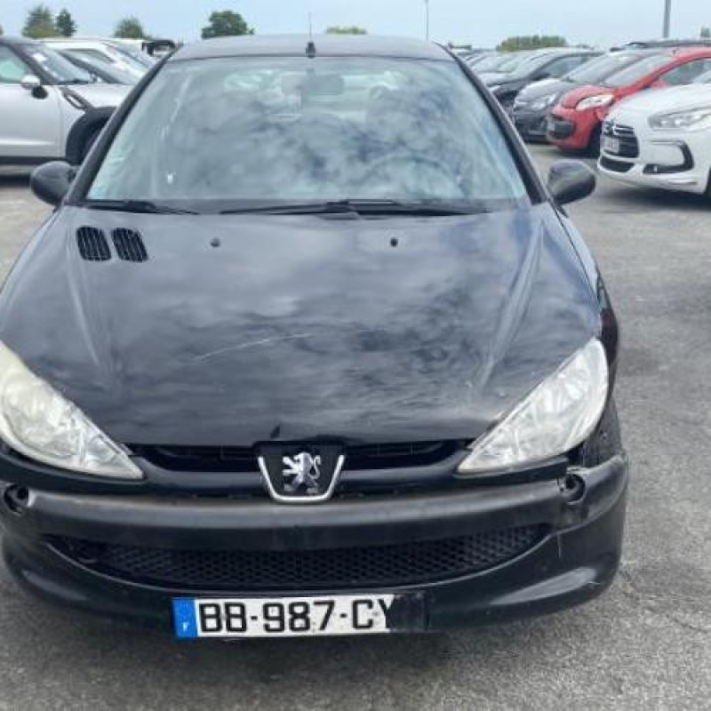 Porte avant droit PEUGEOT 206 Photo n°18