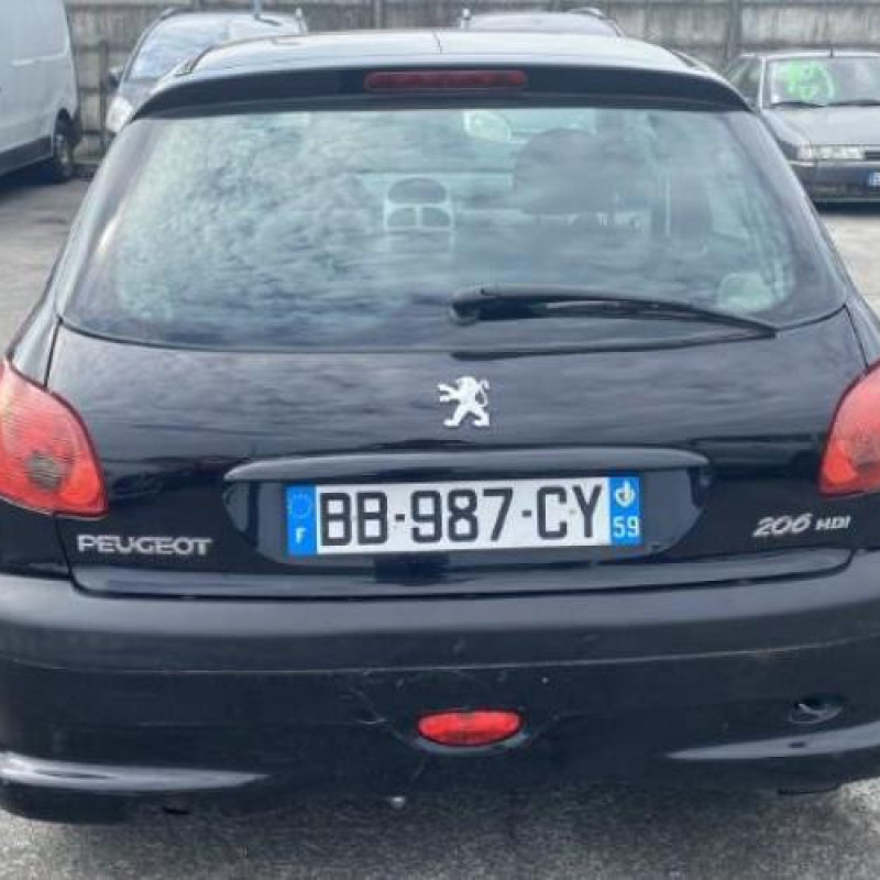 Porte avant droit PEUGEOT 206 Photo n°20