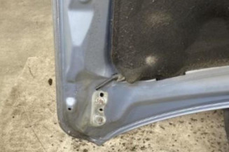 Capot FORD FOCUS 2