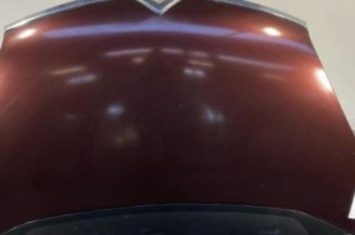 Capot CITROEN C4 GRAND PICASSO 1 Photo n°1