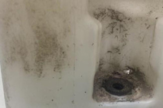 Vase de lave glace FIAT FIORINO 3