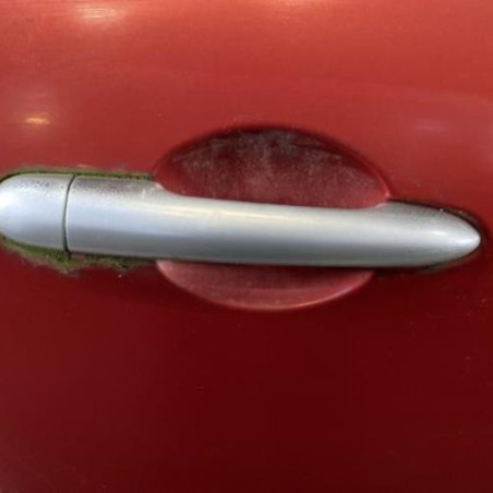 Porte avant droit RENAULT MODUS