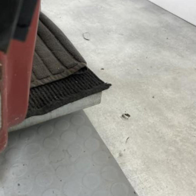Porte avant droit RENAULT MODUS Photo n°8