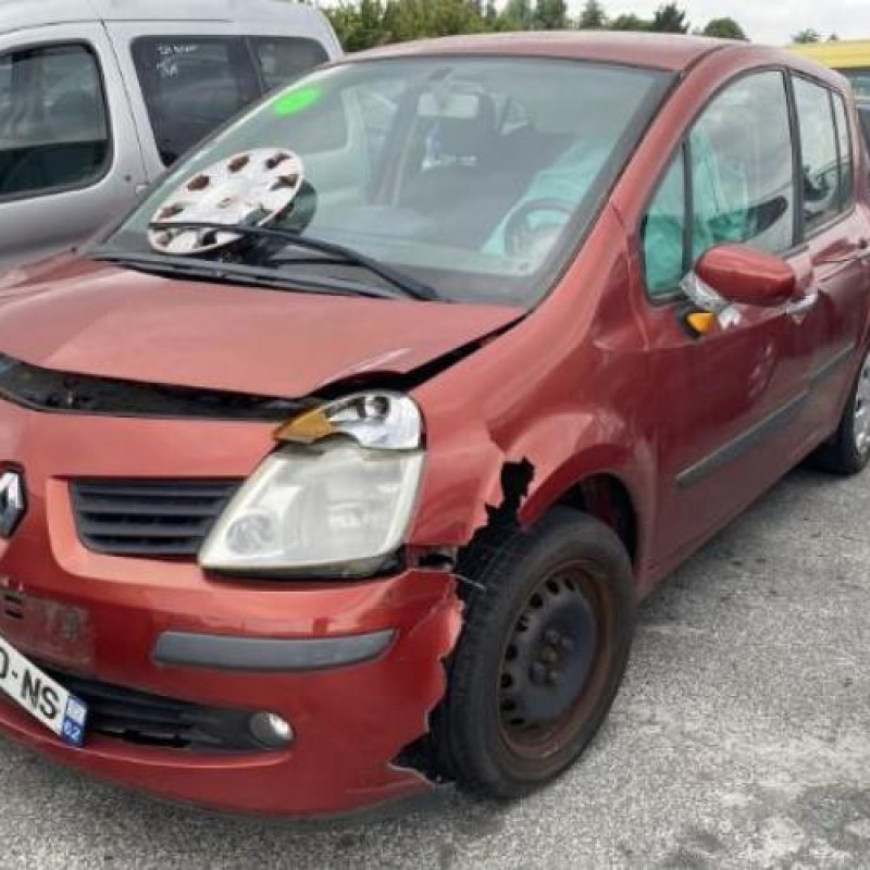 Porte avant droit RENAULT MODUS Photo n°10