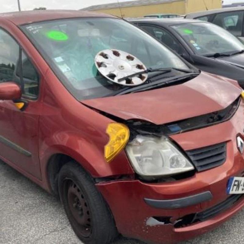 Porte avant droit RENAULT MODUS Photo n°11