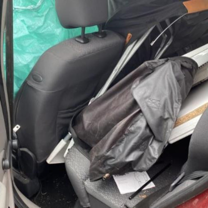 Porte avant droit RENAULT MODUS Photo n°19