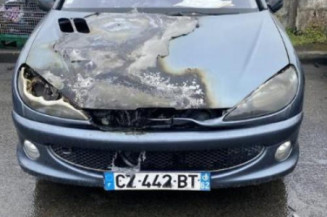Jante PEUGEOT 206