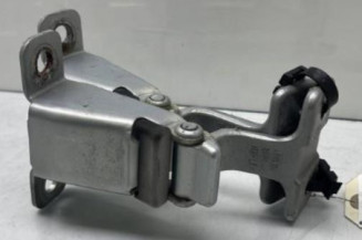 Charniere de porte de coffre droit RENAULT KANGOO 2