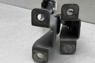 Charniere de porte de coffre droit RENAULT KANGOO 2