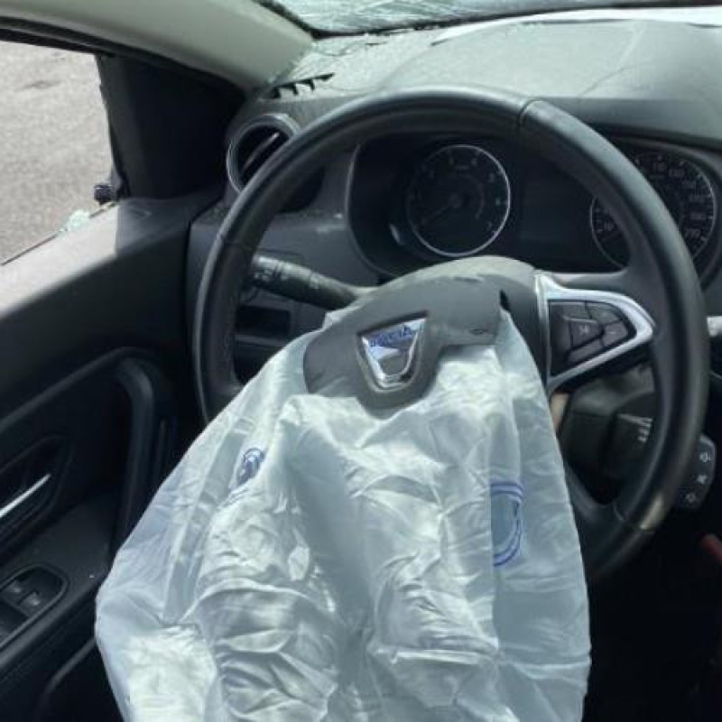 Amortisseur avant droit DACIA DUSTER 2 Photo n°18